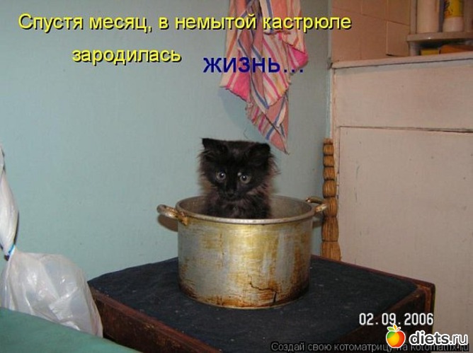 52 ����: ��������