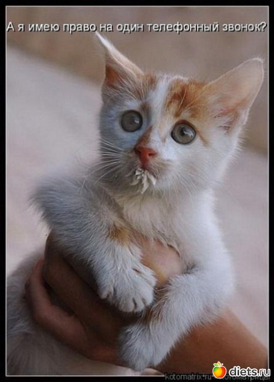 53 ����: ��������