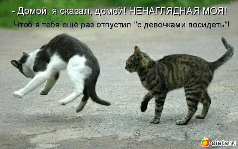 17 ����: ��������