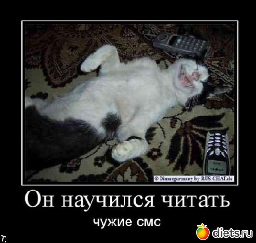 19 ����: ��������