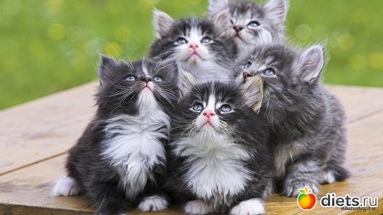 22 ����: ��������