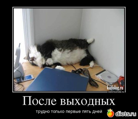 26 ����: ��������