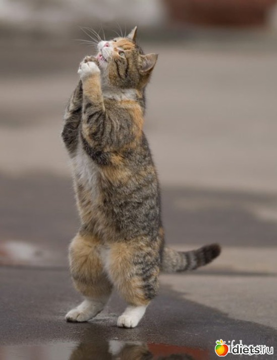 28 ����: ��������