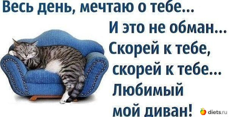 36 ����: ��������