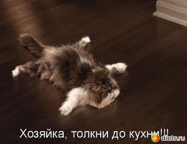 37 ����: ��������