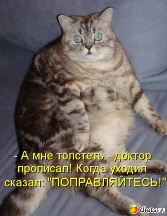 2 фото: Мотивашки