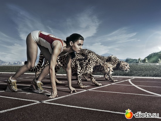 3 ����: �����