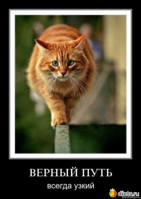 8 ����: �����