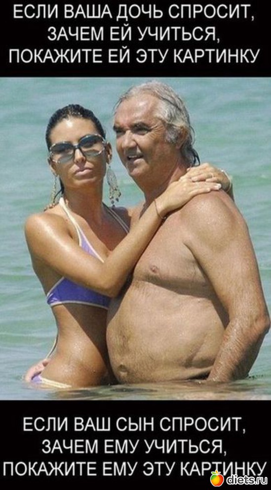 14 ����: �����