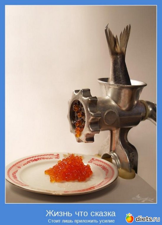 16 ����: �����