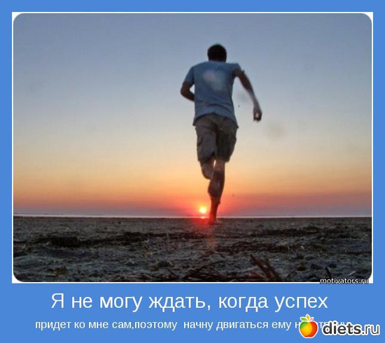 24 ����: �����