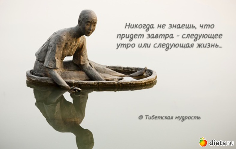 28 ����: �����