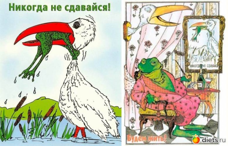 29 ����: �����