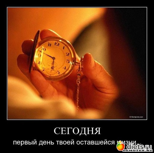 32 ����: �����