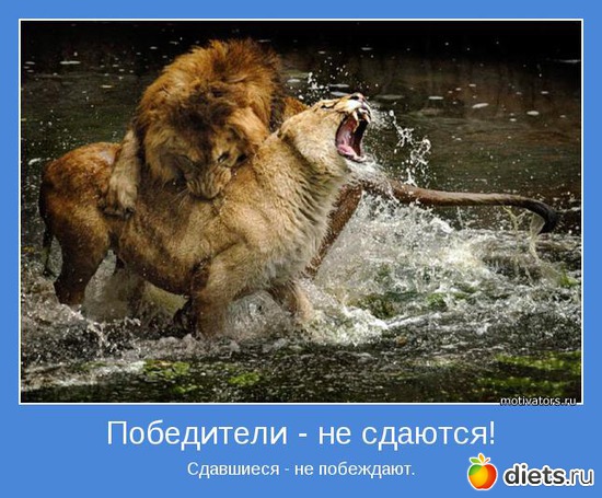 34 ����: �����