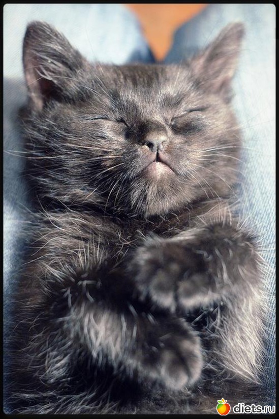 5 ����: ������ ��������...