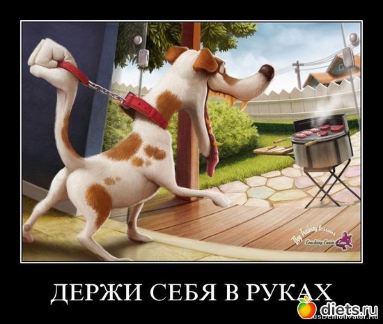 15 ����: ������ ��������...