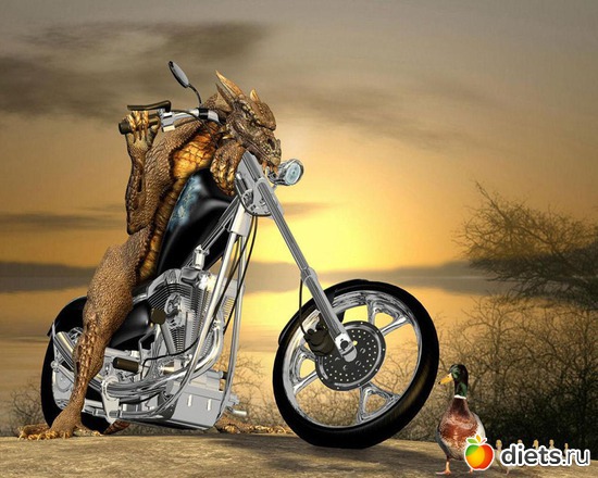 24 ����: ������ ��������...