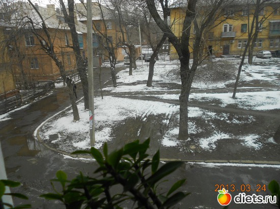 1 ����: �����