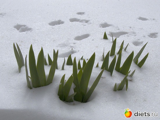 1 ����: �����-����-����� 2013 - 2015