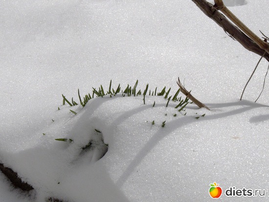 2 ����: �����-����-����� 2013 - 2015