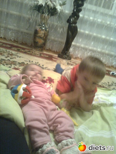 1 ����: ������