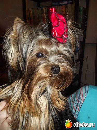 ������, ������: ���� ������