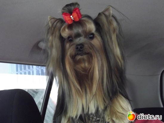 4 ����: ���� ������