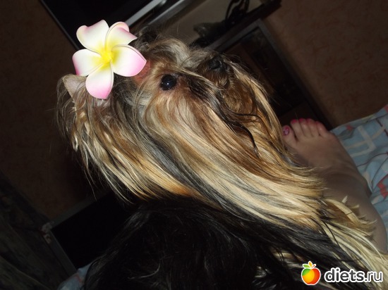 5 ����: ���� ������