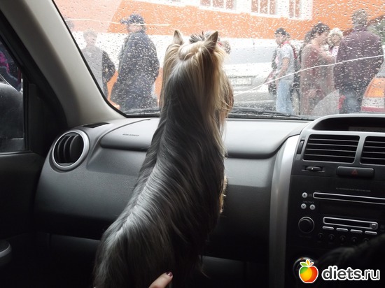 �������, ������: ���� ������