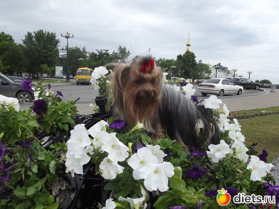 8 ����: ���� ������