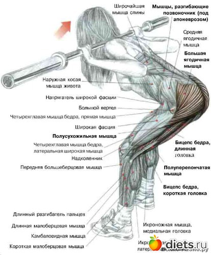 1 ����: �������� ����������