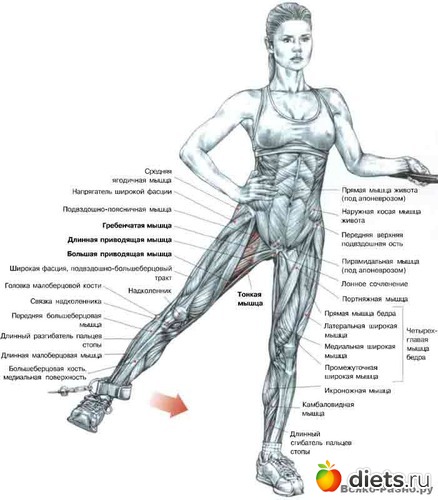 2 ����: �������� ����������