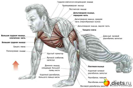 3 ����: �������� ����������