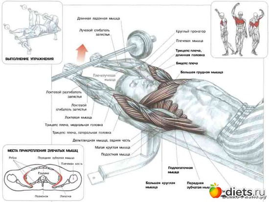 4 ����: �������� ����������