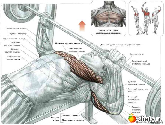 5 ����: �������� ����������