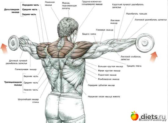 6 ����: �������� ����������