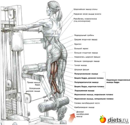 7 ����: �������� ����������