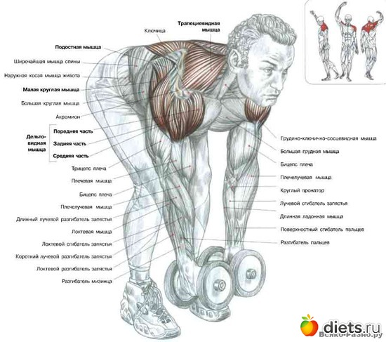 8 ����: �������� ����������