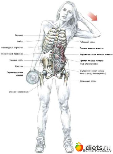 9 ����: �������� ����������