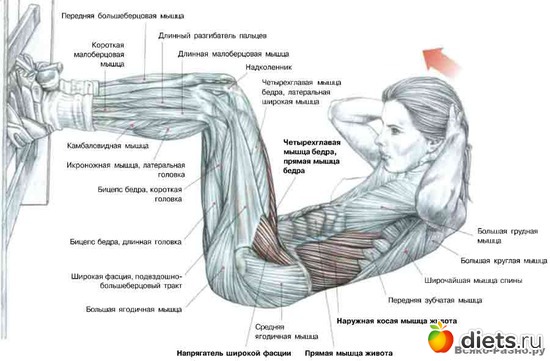 10 ����: �������� ����������