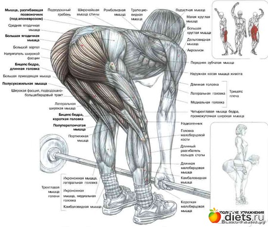 11 ����: �������� ����������