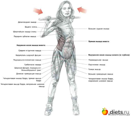 12 ����: �������� ����������