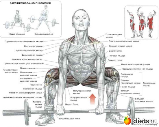 13 ����: �������� ����������