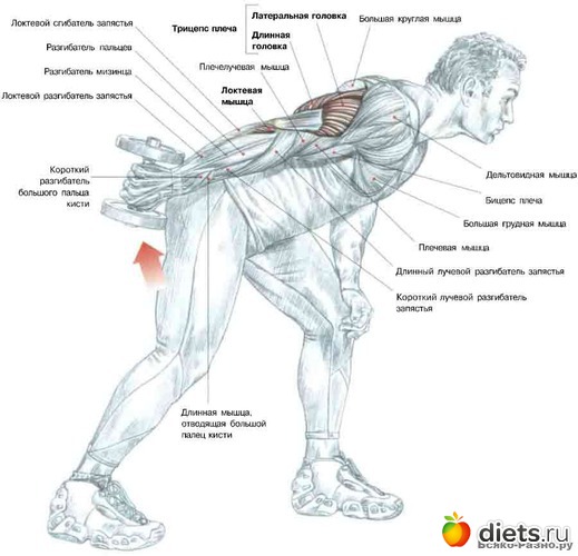 14 ����: �������� ����������