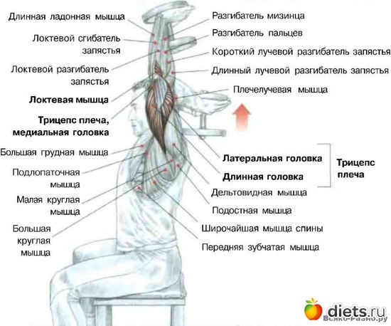 15 ����: �������� ����������