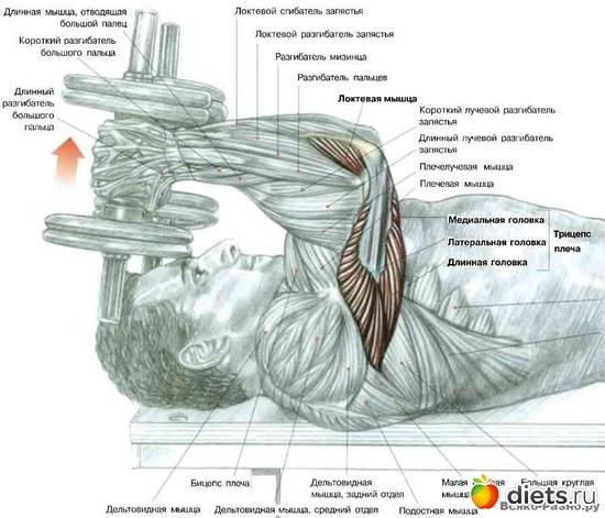 16 ����: �������� ����������
