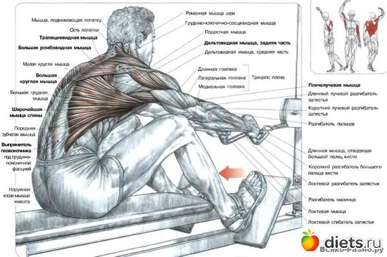 17 ����: �������� ����������