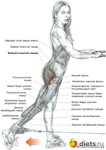 18 ����: �������� ����������