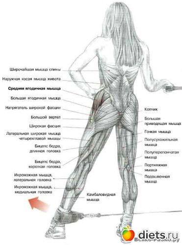 19 ����: �������� ����������